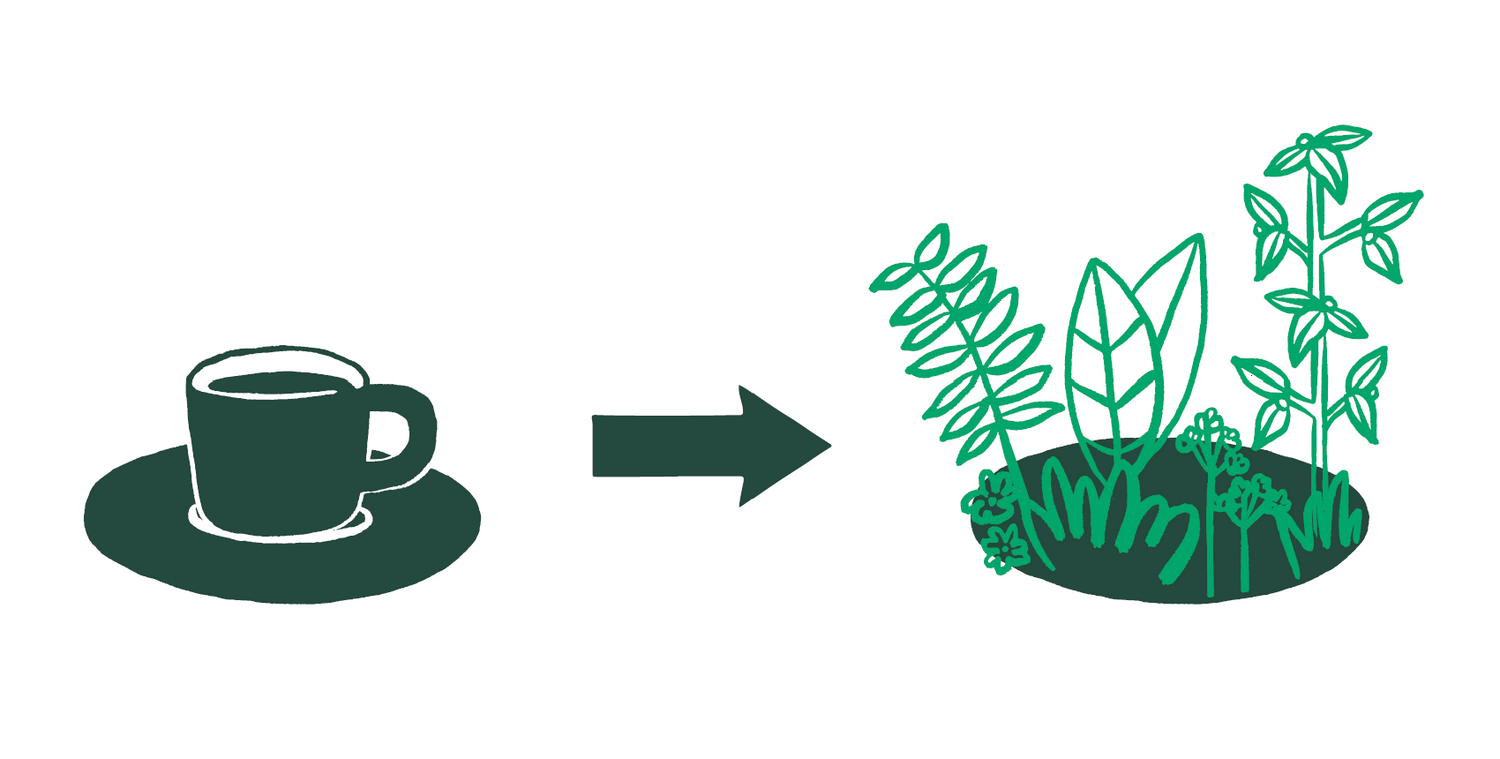 With every curu espresso you drink we transform 81cm2 of land