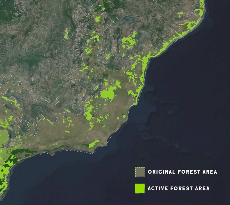 The Atlantic Forest