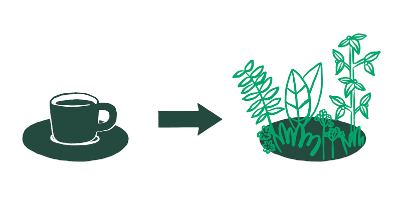 With every curu espresso you drink we transform 81cm2 of land